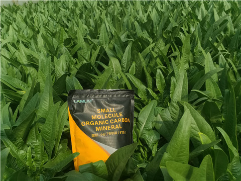 礦源黃腐酸鉀，拉姆拉，翠姆