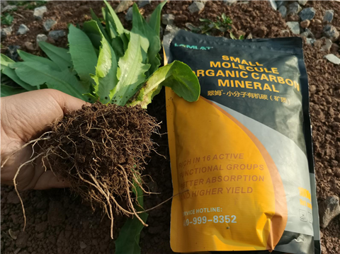 礦源黃腐酸鉀，拉姆拉，翠姆