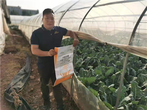 大量元素水溶肥，拉姆拉，翠姆