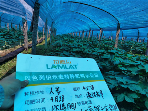 水溶肥，拉姆拉，翠姆