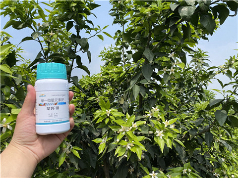 硼肥，拉姆拉，翠姆