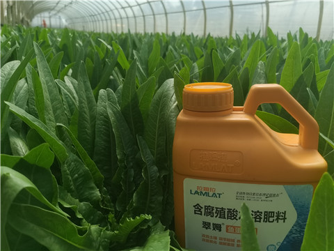 水溶肥，翠姆，拉姆拉