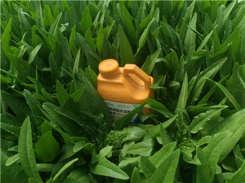 水溶肥，翠姆，拉姆拉