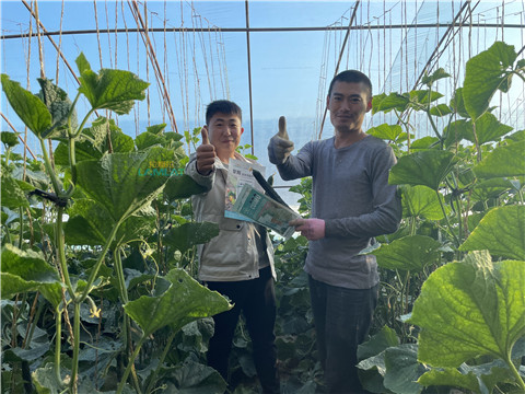 水溶肥，翠姆，拉姆拉