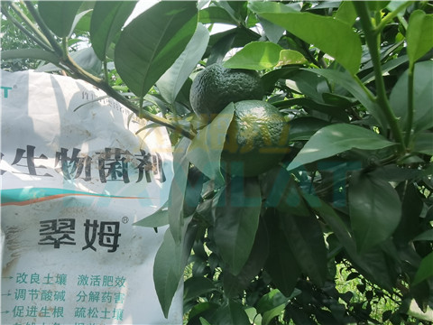 微生物菌劑，翠姆，拉姆拉