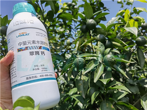 水溶肥，拉姆拉，翠姆