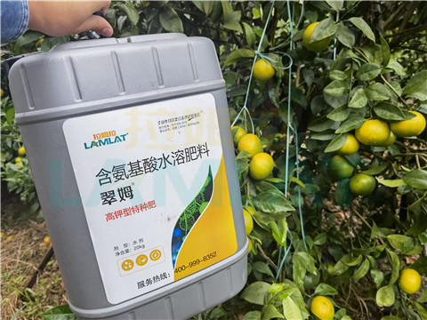 水溶肥，拉姆拉，翠姆