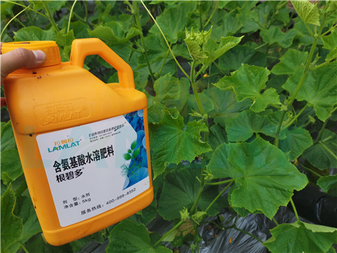 水溶肥，拉姆拉，翠姆