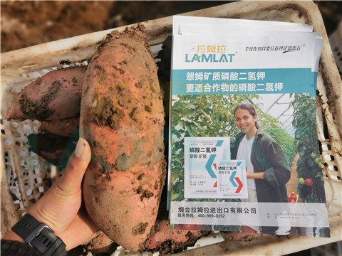 水溶肥，拉姆拉，翠姆