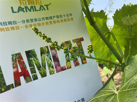 水溶肥，拉姆拉，翠姆