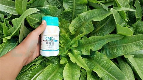 水溶肥，拉姆拉，翠姆