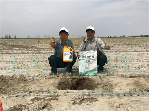 水溶肥，拉姆拉，翠姆