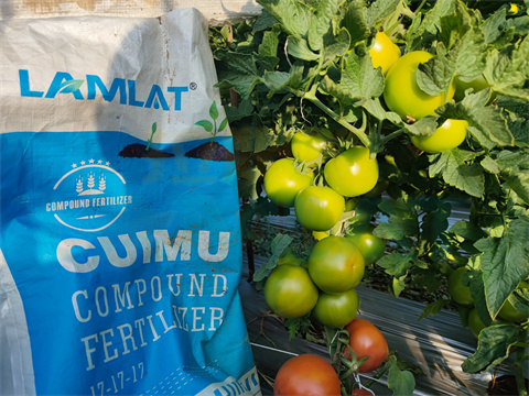 水溶肥，拉姆拉，翠姆