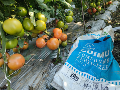 水溶肥，拉姆拉，翠姆