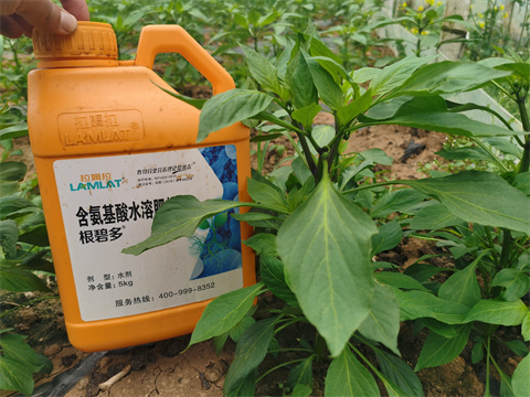 水溶肥，翠姆，拉姆拉
