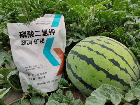 水溶肥，翠姆，拉姆拉