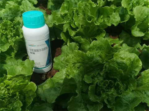 水溶肥,翠姆,生菜水溶肥 水溶肥,翠姆,生菜水溶肥