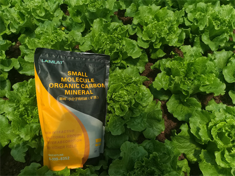 水溶肥,翠姆，蔬菜水溶肥