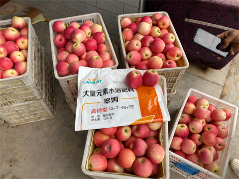 水溶肥,翠姆,蘋果種植 水溶肥,翠姆,蘋果種植