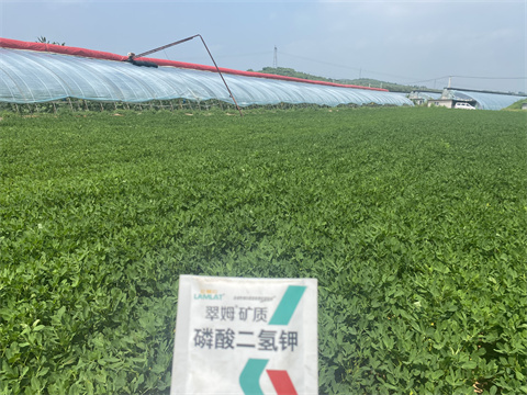 水溶肥,翠姆,拉姆拉 水溶肥,翠姆,拉姆拉